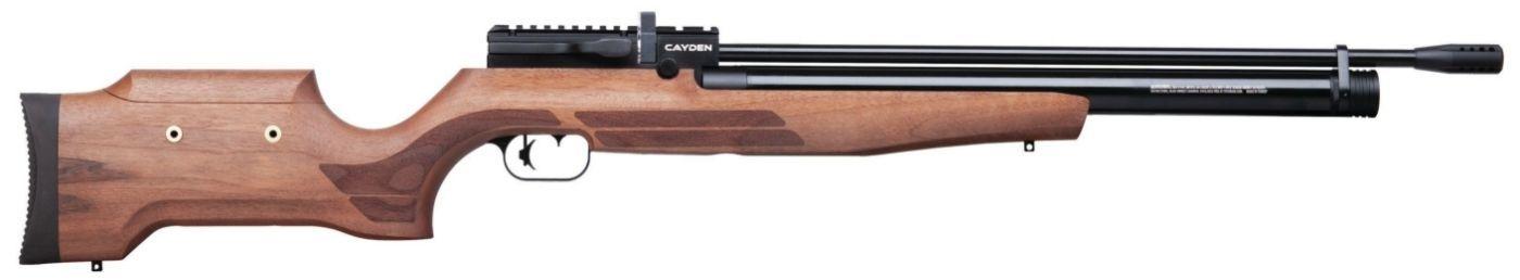 Benjamin Cayden Air Rifle wooden stock f4159788da6a13a05c7755e7e3b29890