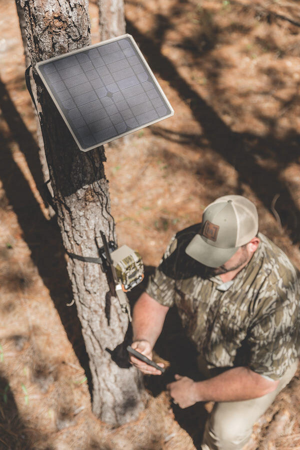 Moultrie 3
