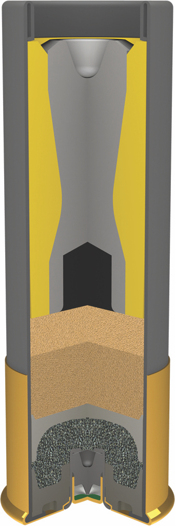 Shotgun shell cutaway