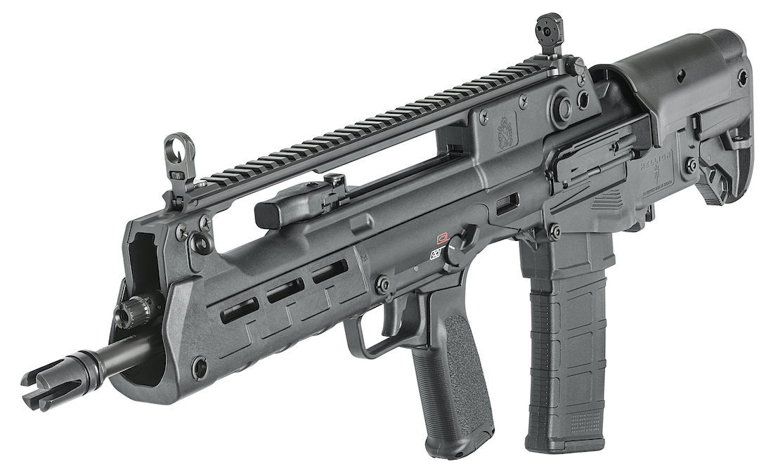 Springfield Hellion e991f65cda8cad0d03a7ea8cd2674507 220119 192502