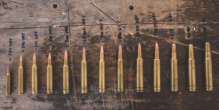 Weatherby cartridges