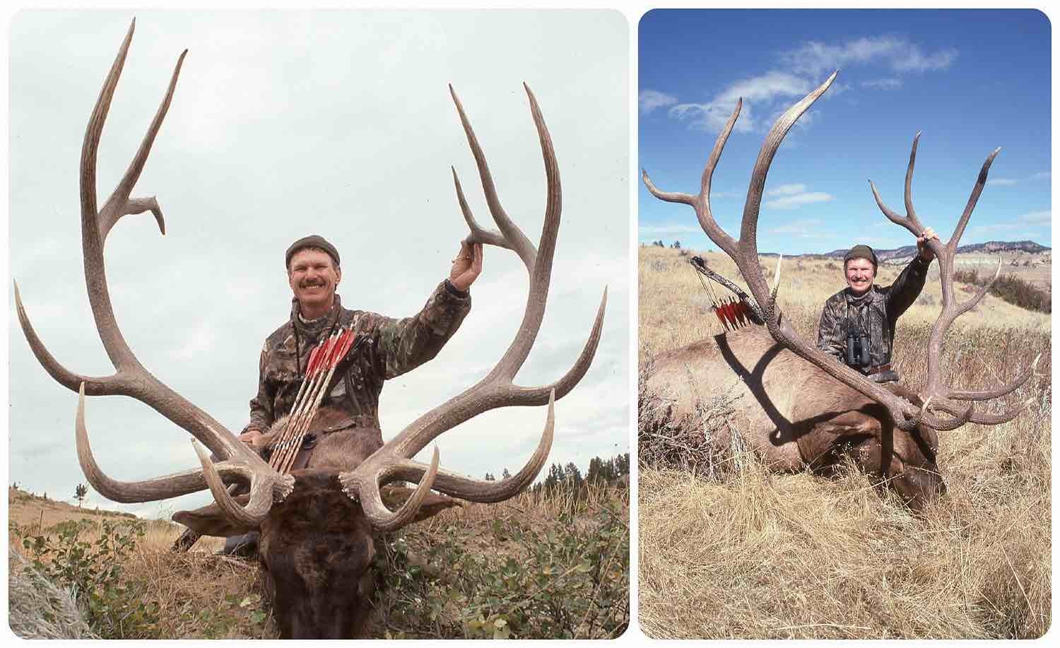Adams record book elk collage