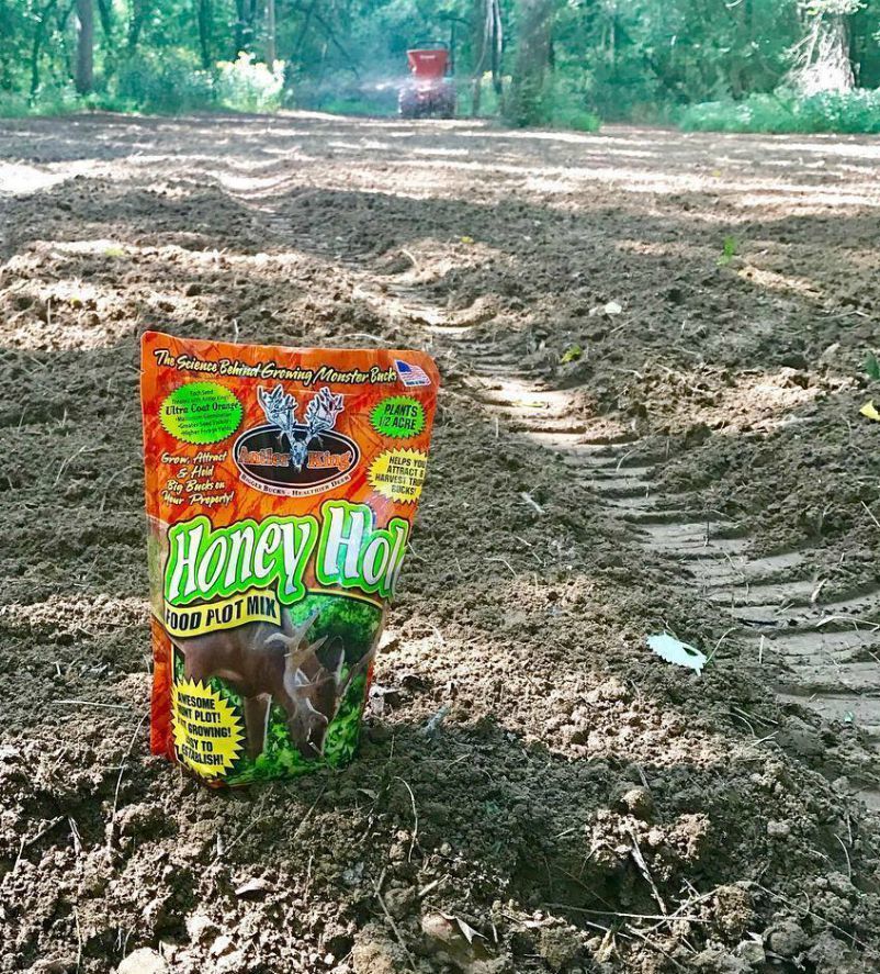 Antler King food plot