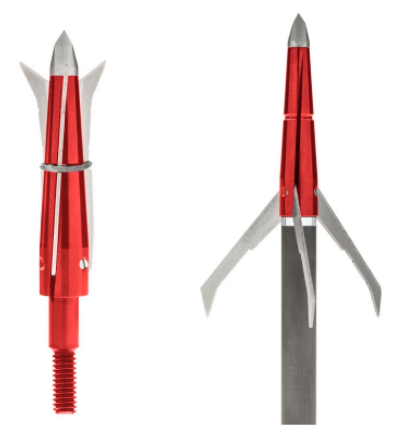 Collage Hammerhead XT