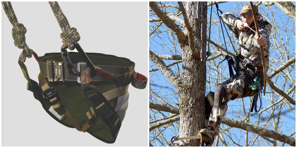 Collage Kestrel