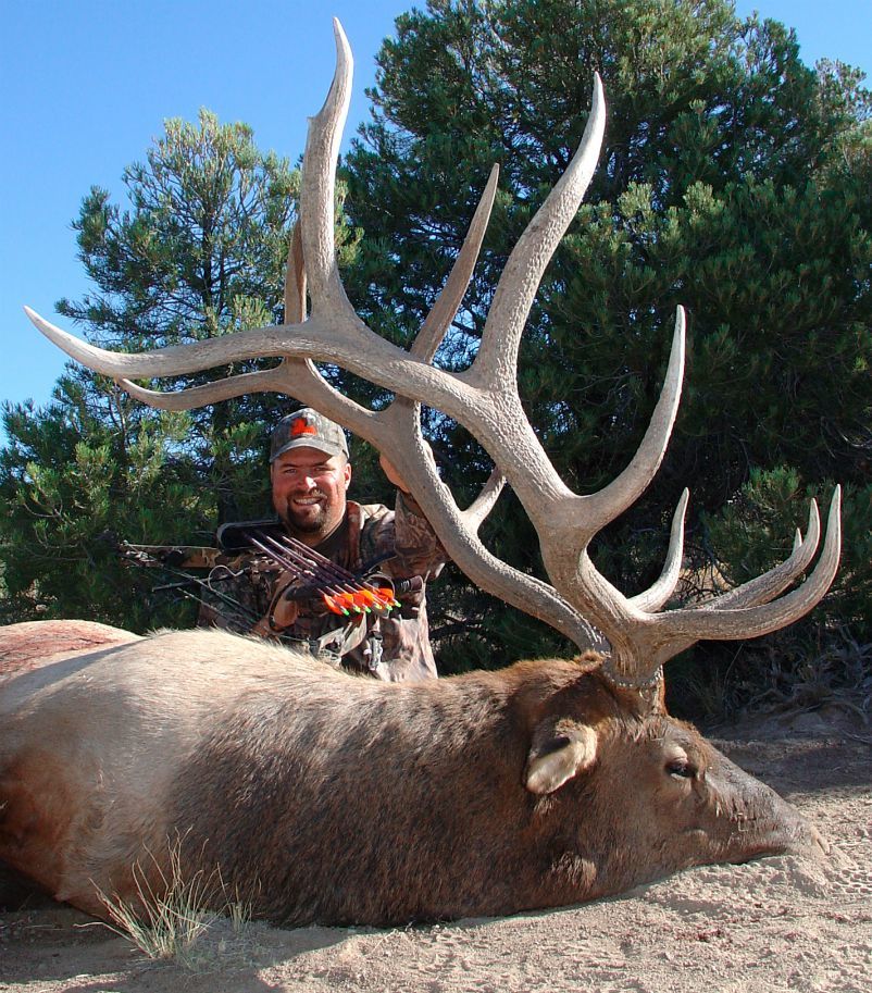 Dan Evans elk