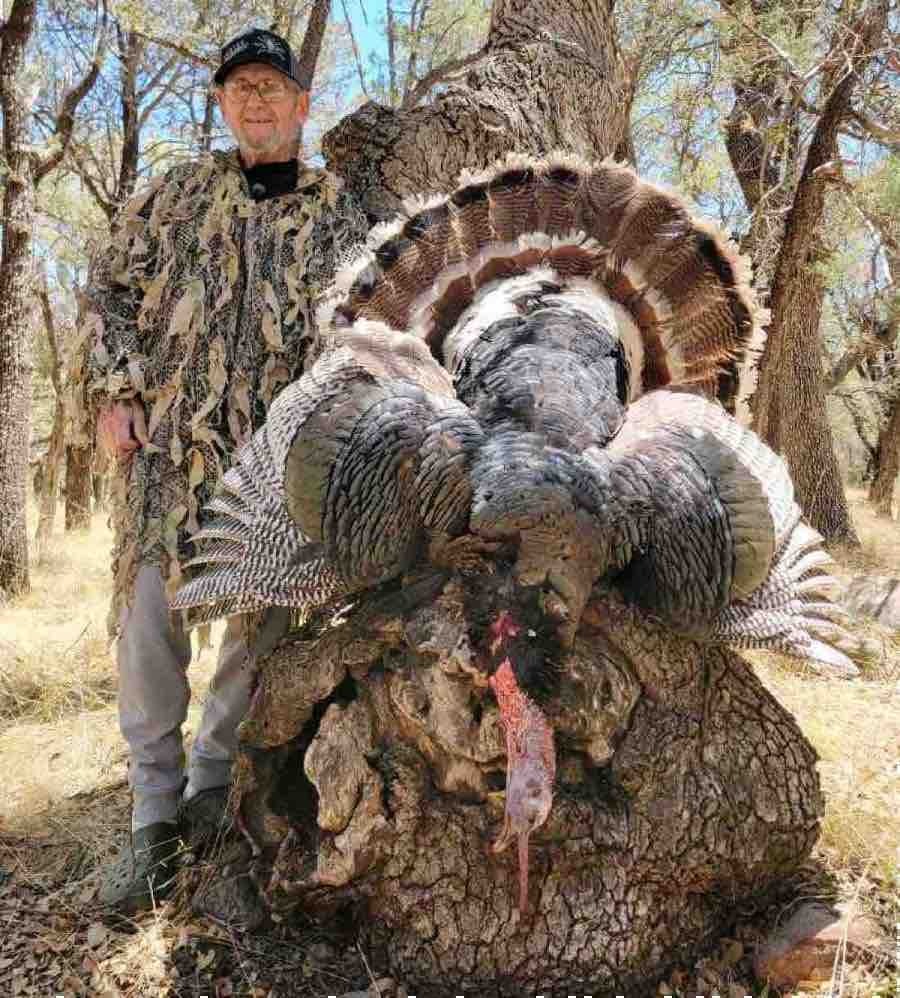 Dennis Ward turkey 1 resize 2