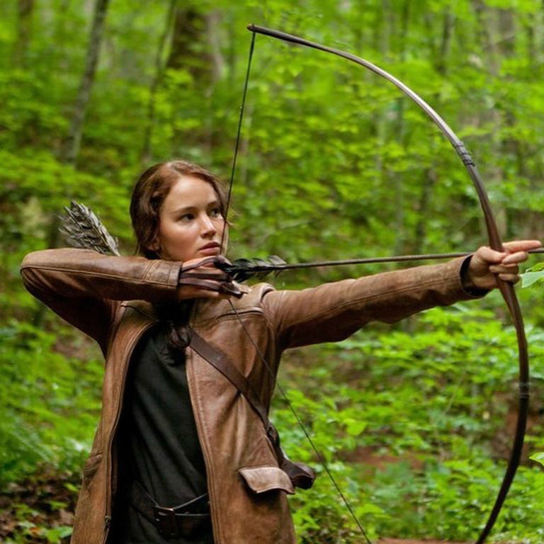 Hunger Games pic