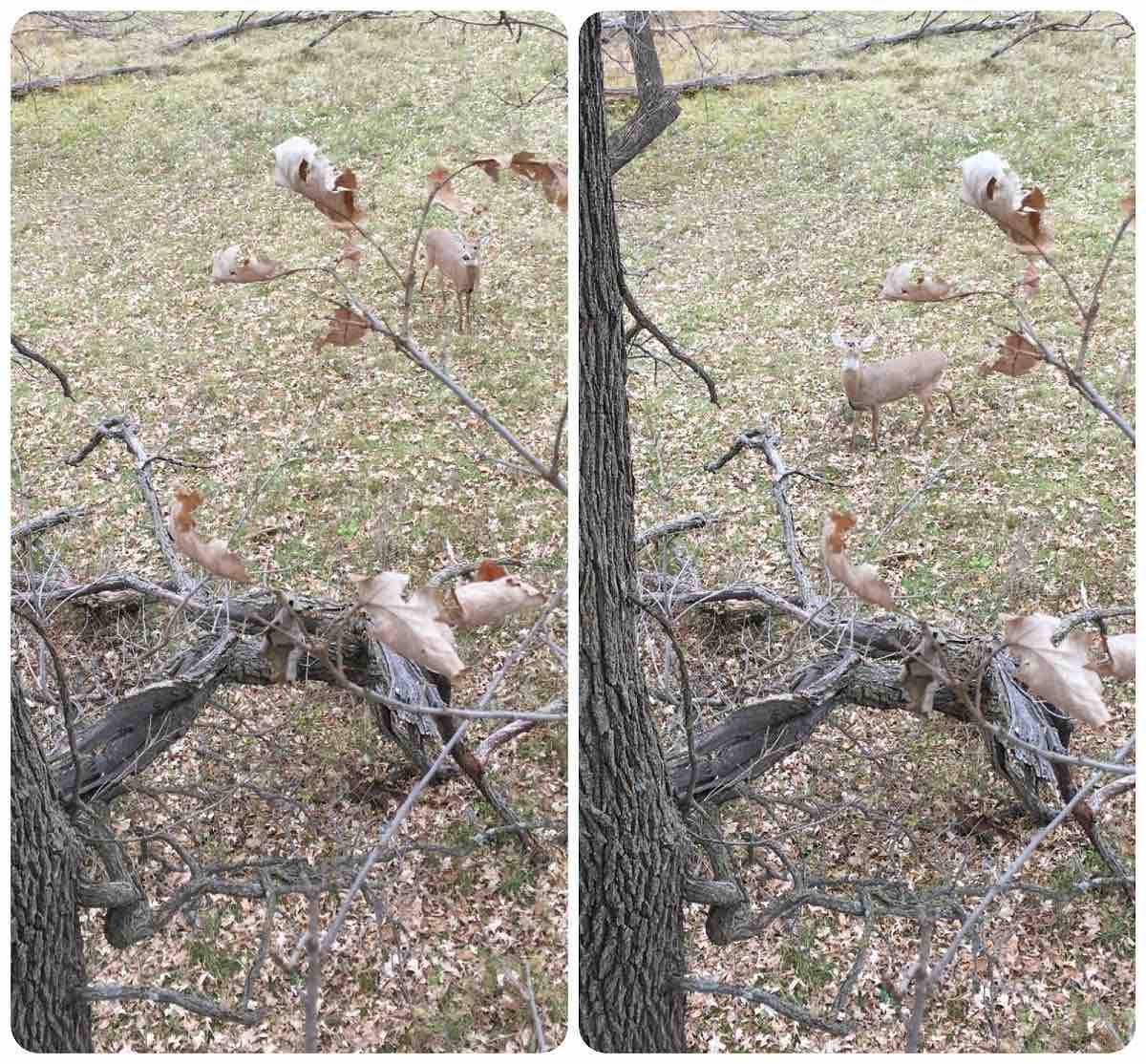 IMG 9944 3 resize collage