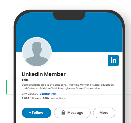Linked Ins Good example