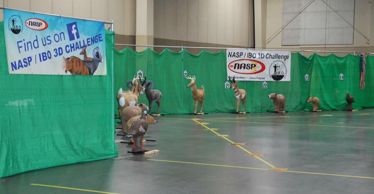 NASP and IBO Targets
