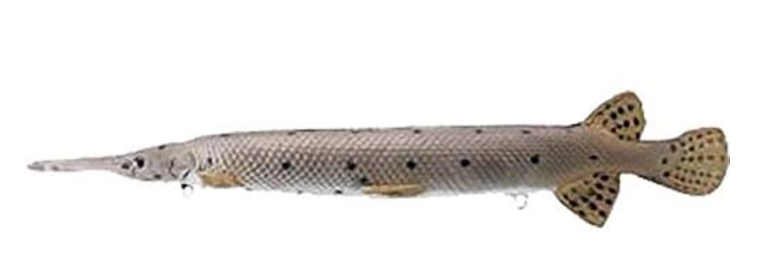 Rinehart Gar Target