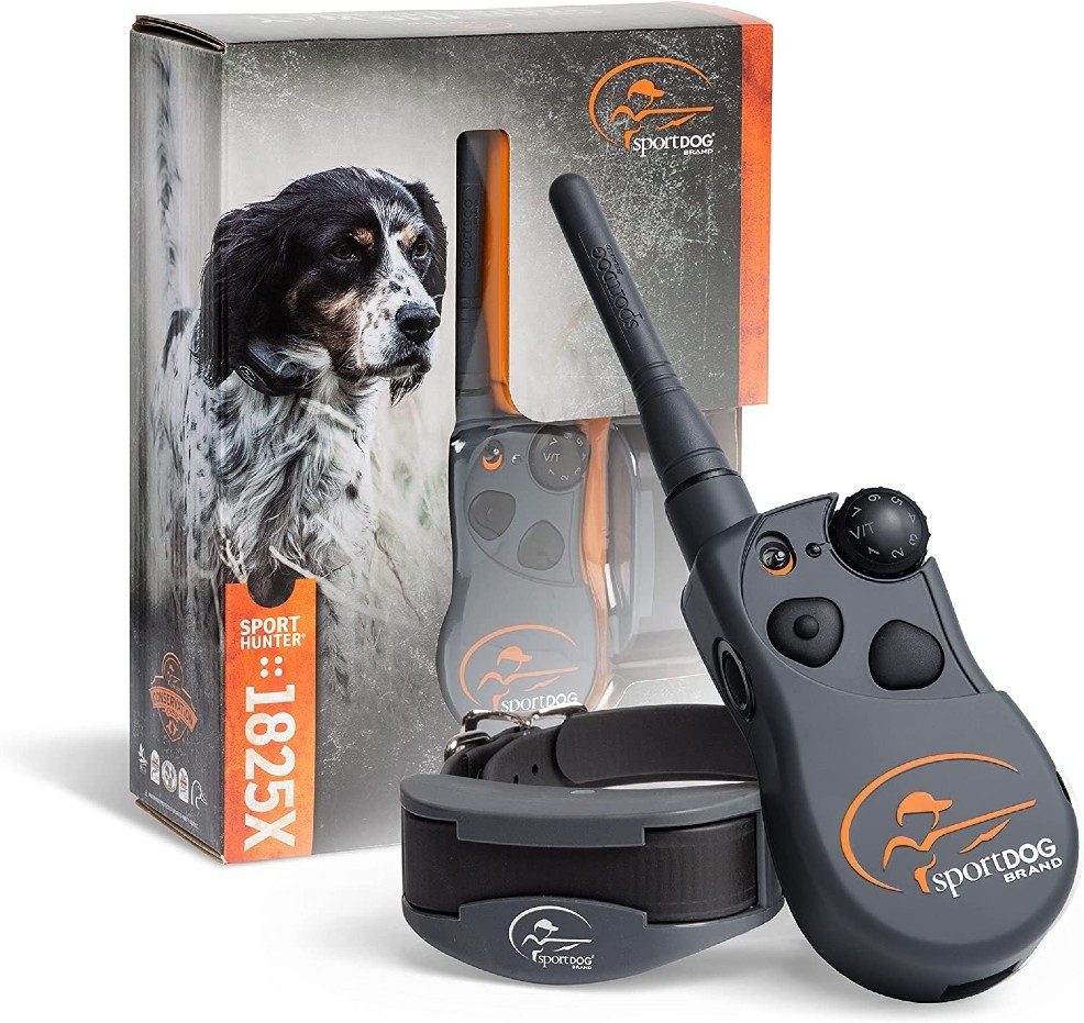 Sport Dog copy