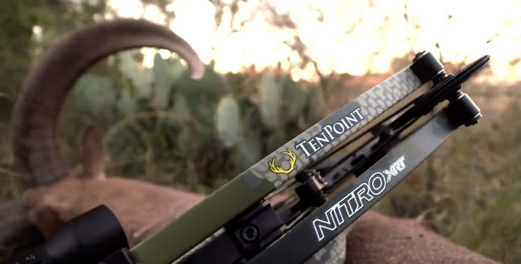Ten Point Nitro XRT 1025x519
