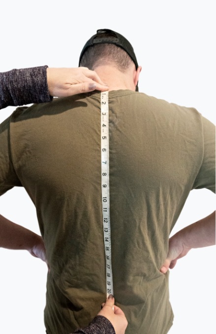 Torso M Easurement