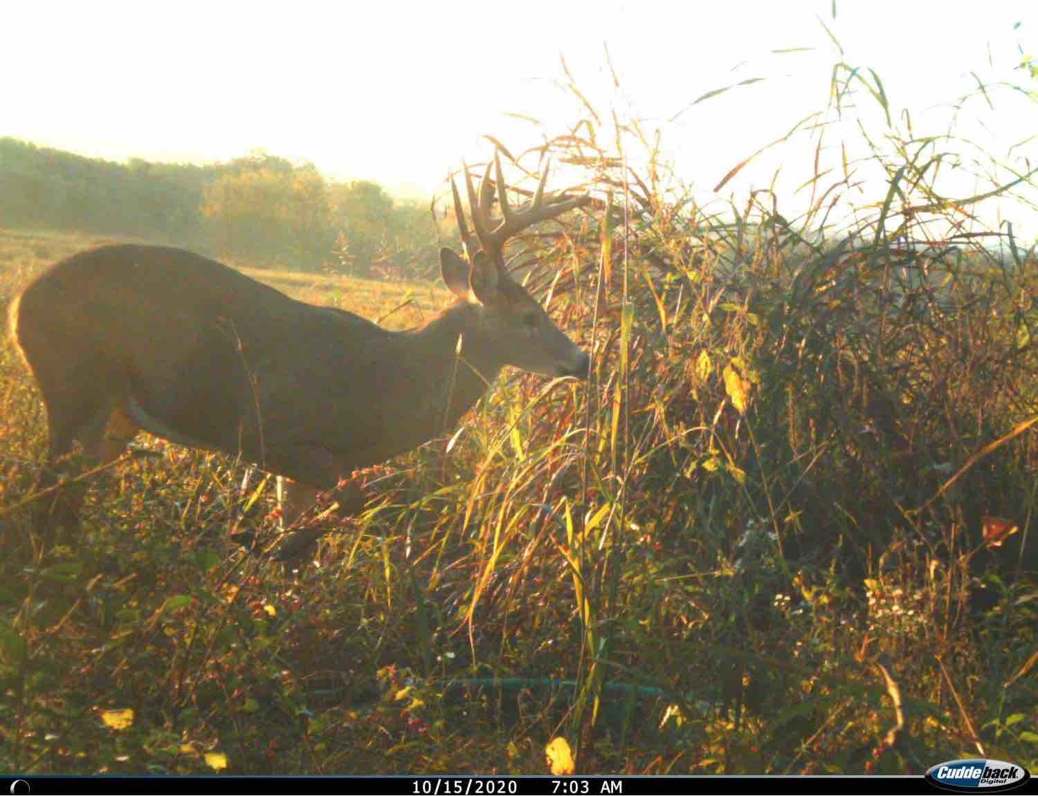 Trail Cam Settings 3 resize