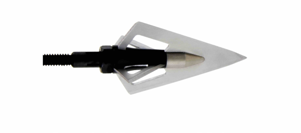 Wasp Sharpshooter 200 resize