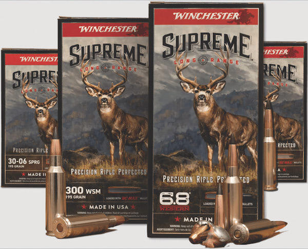 Winchester 260416 091902