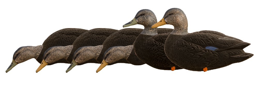 Avx8077 axf full body black ducks image 1 1