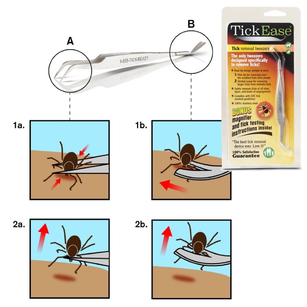 How to use Tick Ease