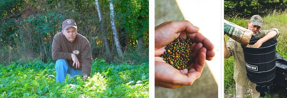 More food plot pics Bio Logic
