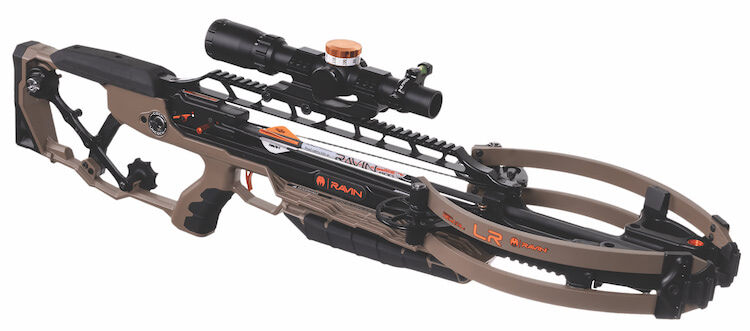 Ravin