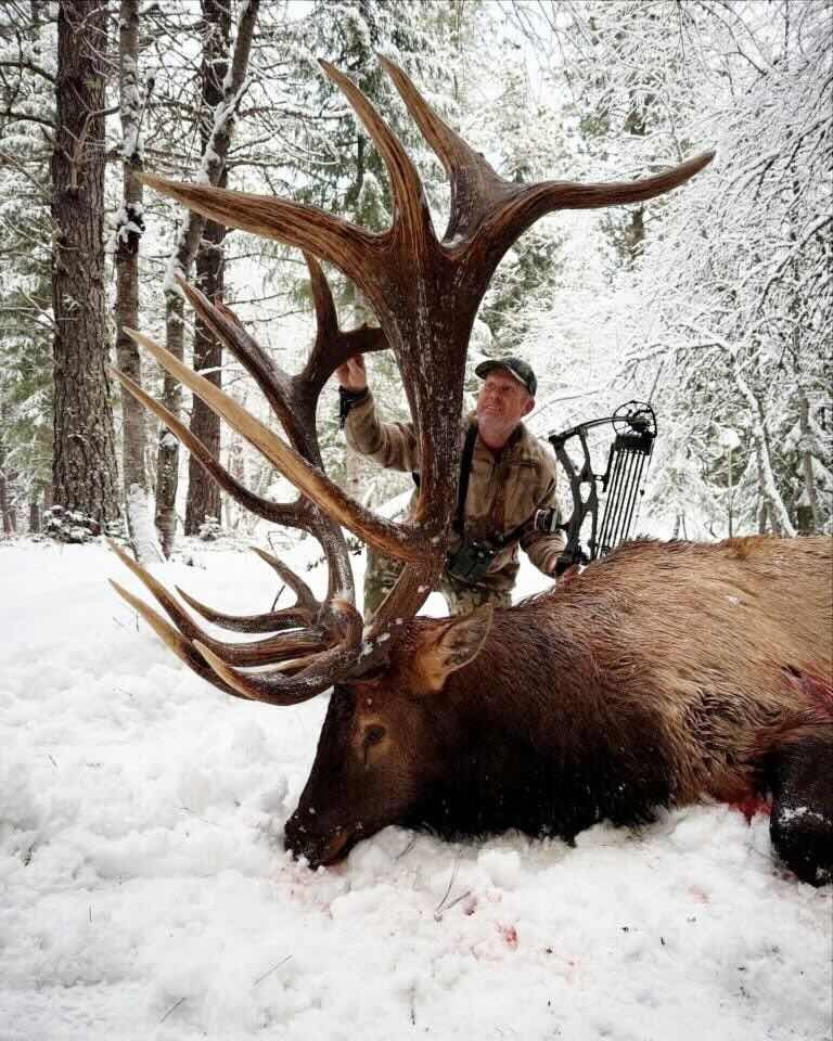 Resize Casey Brooks Bull Elk 768x960