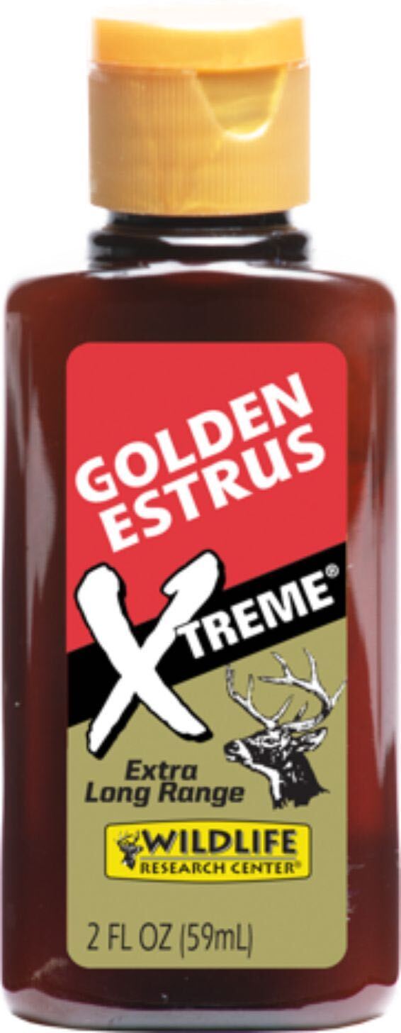 Resize WRC Golden Estrus Xtreme