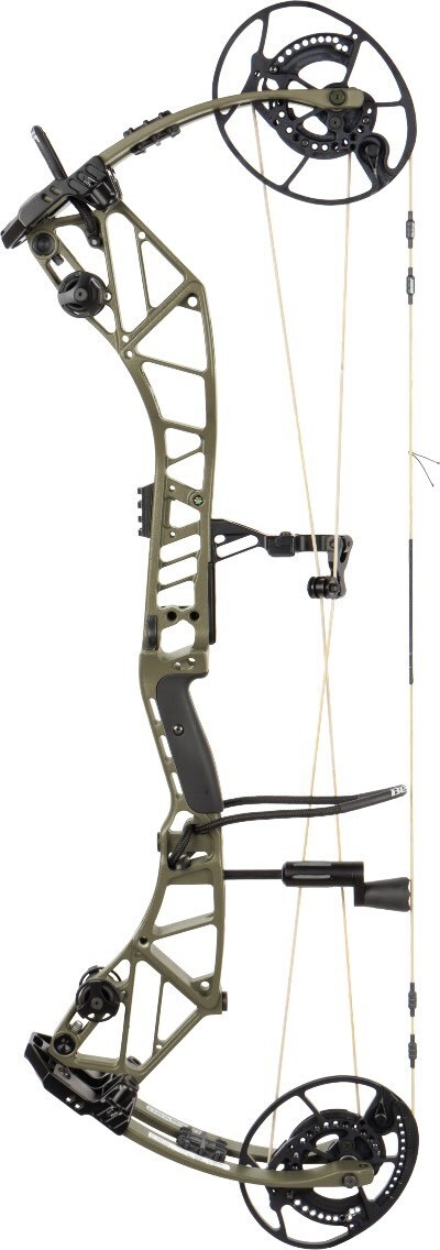 Web Bear Archery Redeem