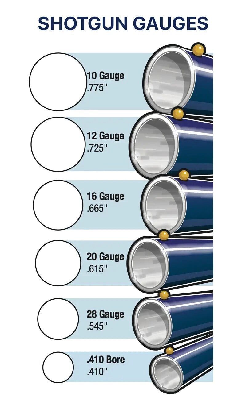 Shotgun gauges chart e991f65cda8cad0d03a7ea8cd2674507