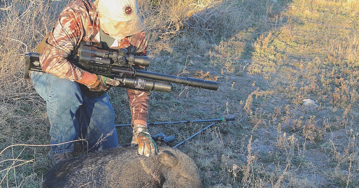 5 Air Rifles You Should be Stocking | Shooting Sports Retailer