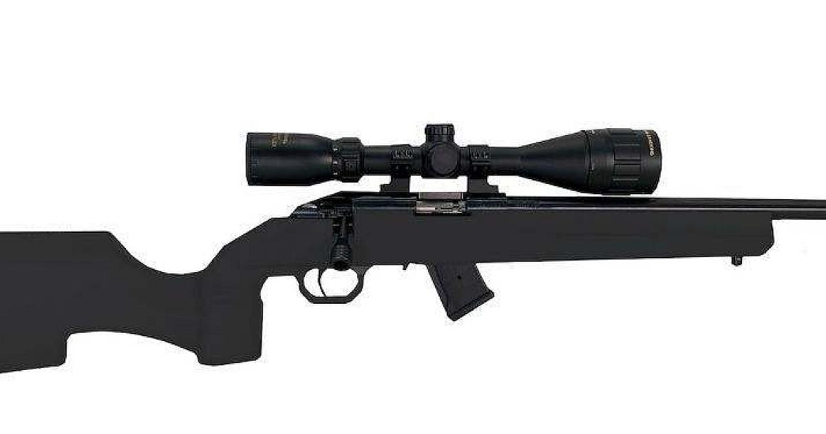 Legacy Sports Howa M1100 Rimfire Rifle… | Shooting Sports Retailer