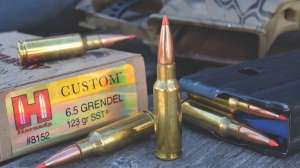 20a6 5 Grendel