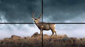 Sig Sauer BDX reticle 190104 133349