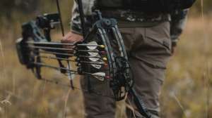 Web QUIVER PIX 02