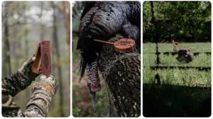Selling Turkey Gear collage