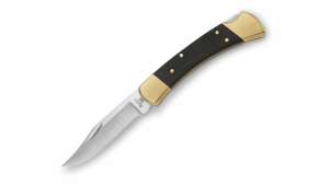Buck 110 Folding Hunter