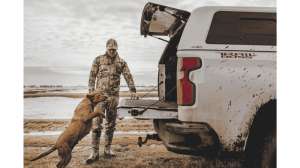 Sitka dog