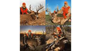 Four Bucks