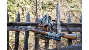 Fence hunting