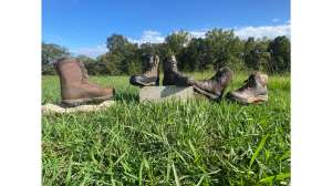 Bootsss