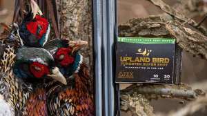 APEX Ammunition Upland Bird e991f65cda8cad0d03a7ea8cd2674507