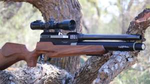 Airgun 1 e991f65cda8cad0d03a7ea8cd2674507 231126 162503