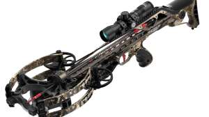 Barnett hyper raptor t rex