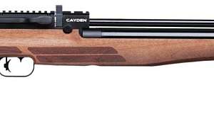 Benjamin Cayden Air Rifle wooden stock f4159788da6a13a05c7755e7e3b29890