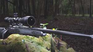 Bergara 1 A e991f65cda8cad0d03a7ea8cd2674507