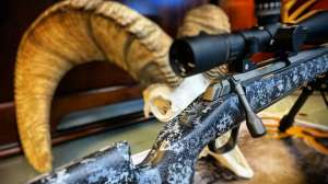 Browning X Bolt f4159788da6a13a05c7755e7e3b29890 200712 142505