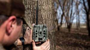 Bushnell Cellucore 30 On The Tree f4159788da6a13a05c7755e7e3b29890