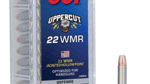CCI 22 WMR Up Cut JHP e991f65cda8cad0d03a7ea8cd2674507