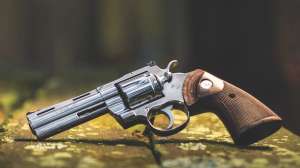 Colt snake series